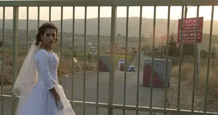 ‘Syrian Bride’ and the Villainy of Bureaucracy