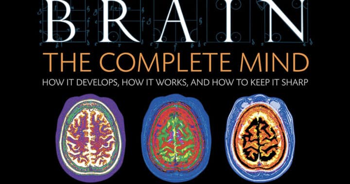 ‘Brain: The Complete Mind’ Stirs the Mind