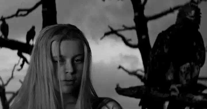 ‘Marketa Lazarova’, a Haunting Czech Epic, Will Entrance You