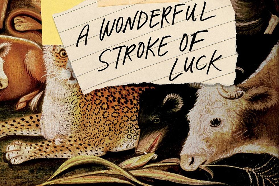 Ann Beattie’s Latest, ‘A Wonderful Stroke of Luck’ Leaves This Reader Feeling Hapless