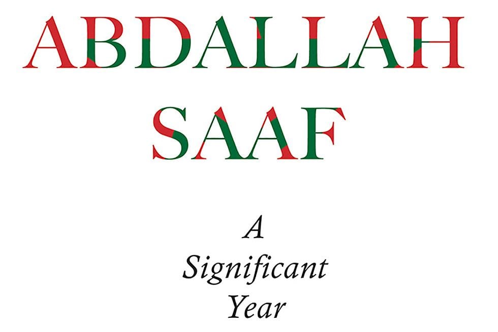Some of the Most Maligned Tools of Modern Democracy Are Viewed in a New Light in Saaf’s Reissued ‘A Significant Year’