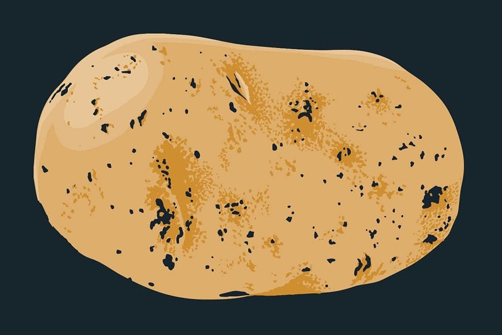 Behold the Humble but Mighty Potato