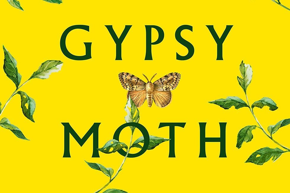 The Spirit Is Weak in ‘The Gypsy Moth Summer’