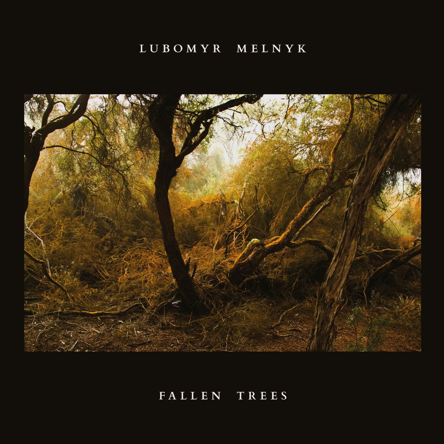 Lubomyr Melnyk’s ‘Fallen Trees’ Is a Thing of Uncommon Beauty
