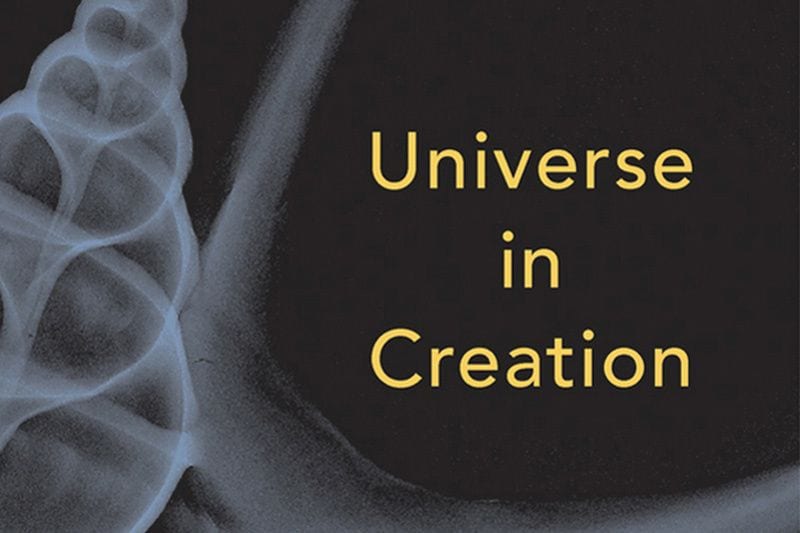 universe-in-creation-roy-gould