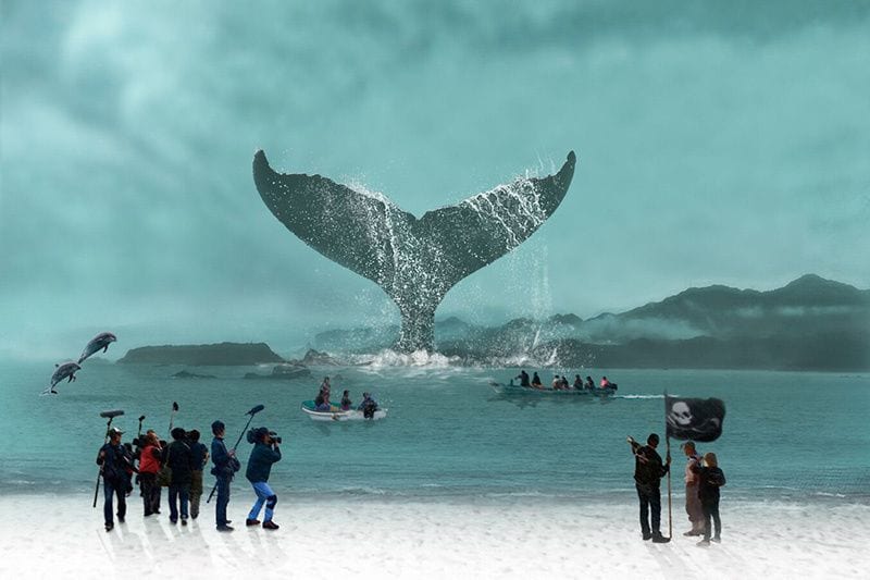 whale-of-tale-megumi-sasaki