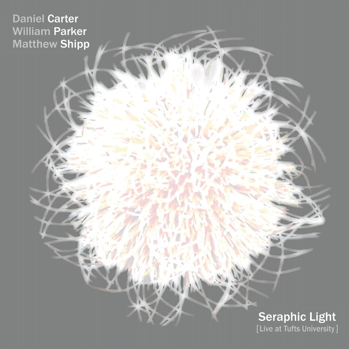 Daniel Carter, William Parker, and Matthew Shipp Prove Their Collective Worth on ‘Seraphic Light’