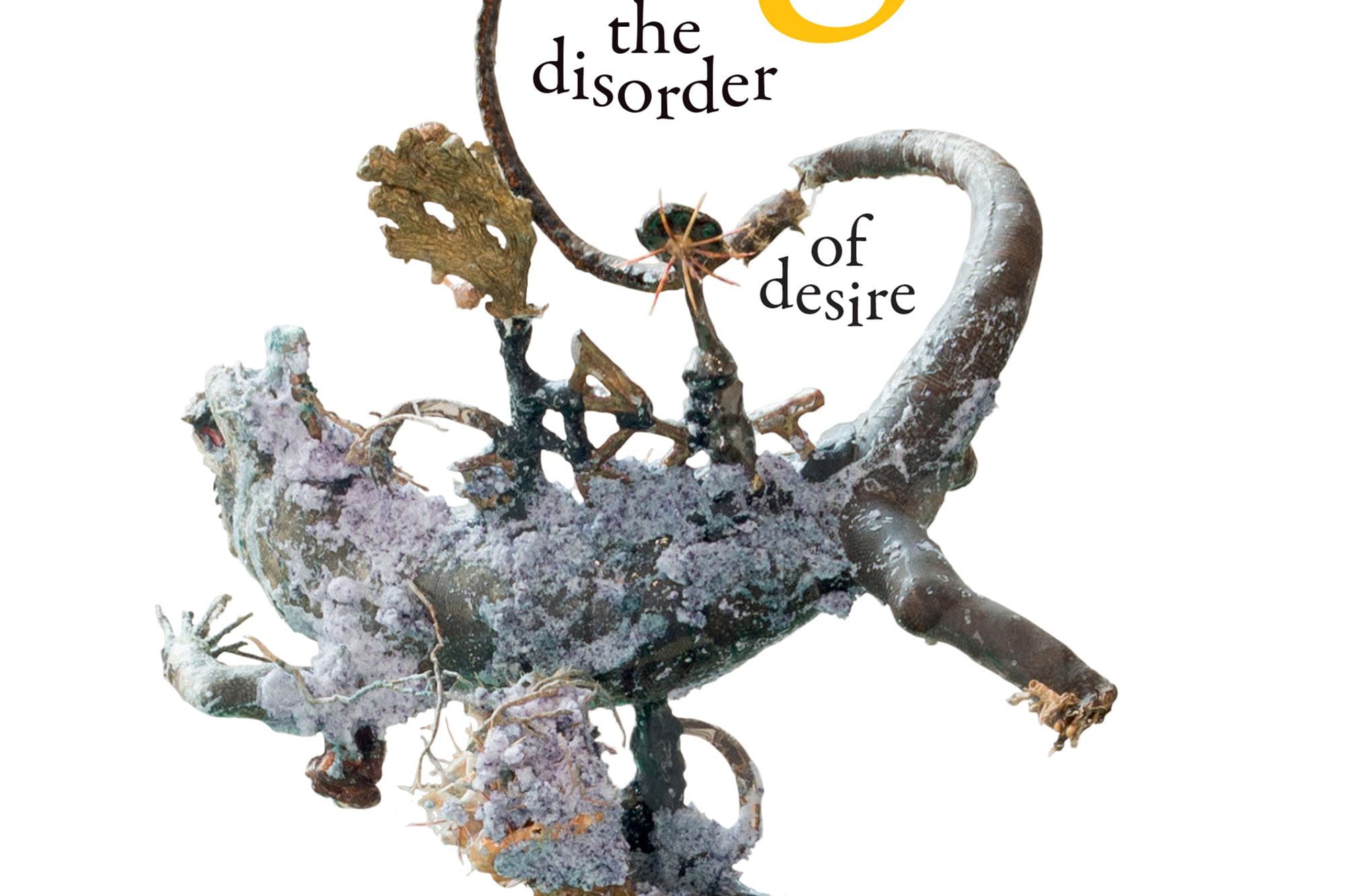 Jack Halberstam’s ‘Wild Things: The Disorder of Desire’ (excerpt)