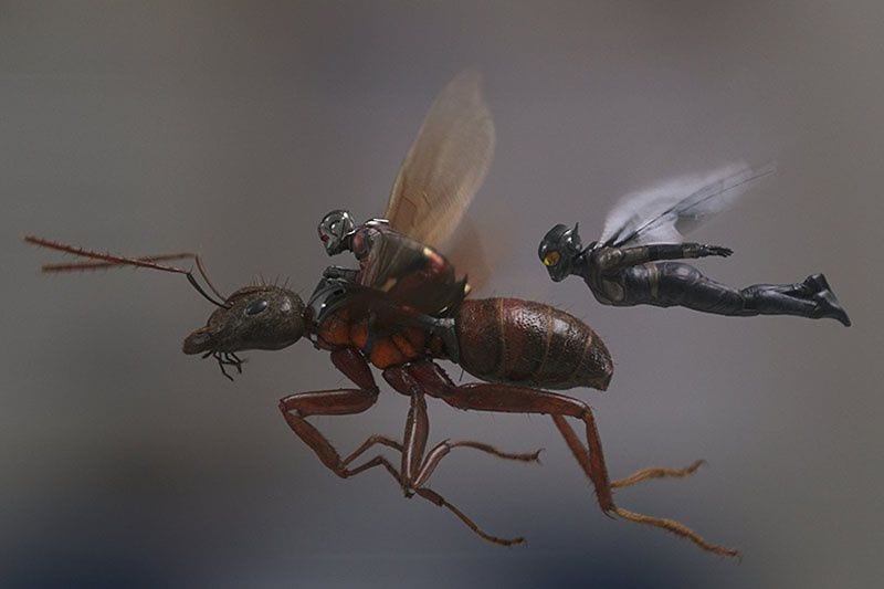 ant-man-and-the-wasp