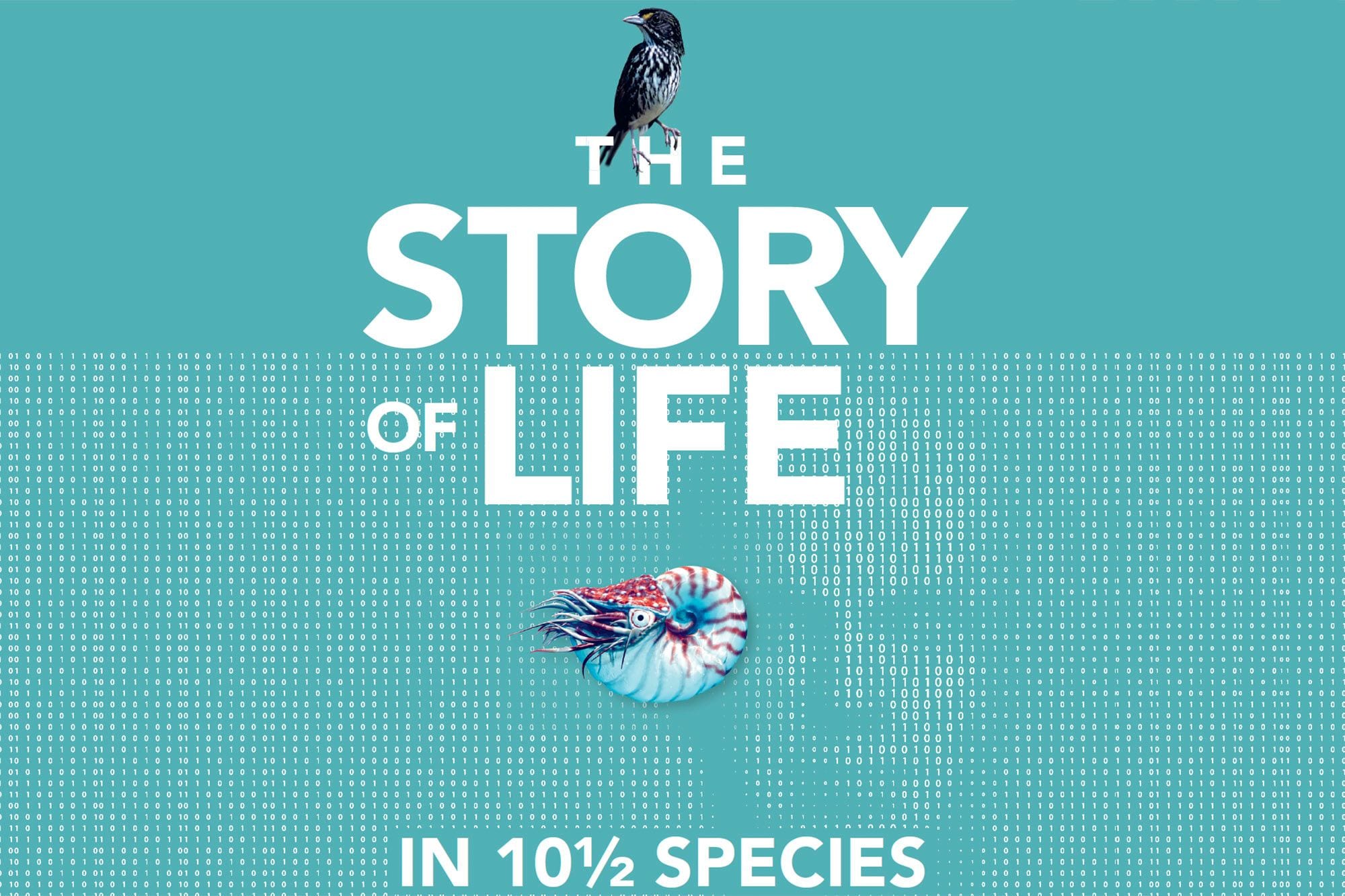 The Story of Life in 10 1/2 Species (excerpt)
