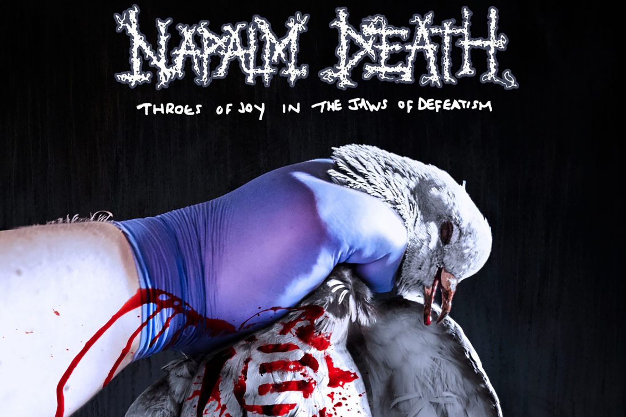 Napalm Death Return With Their Most Vital Album in Decades