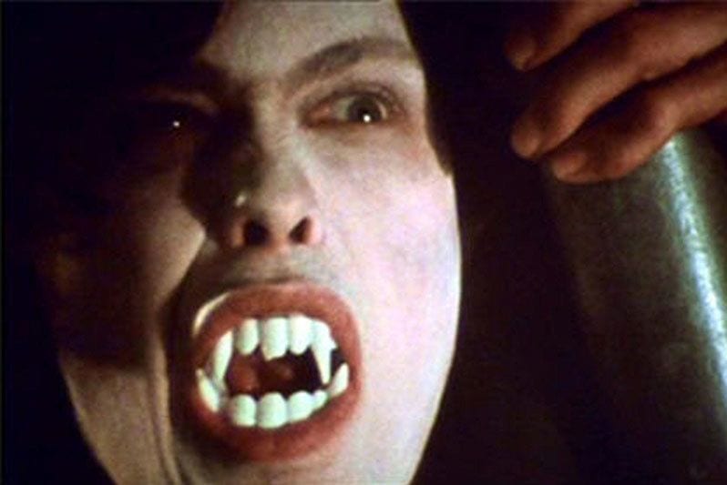 The Best Vampire Movies of All Time: 'Dracula,' 'Martin,' and More –  IndieWire