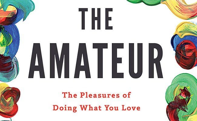 the-amateur-the-pleasures-of-doing-what-you-love-andy-merrifield