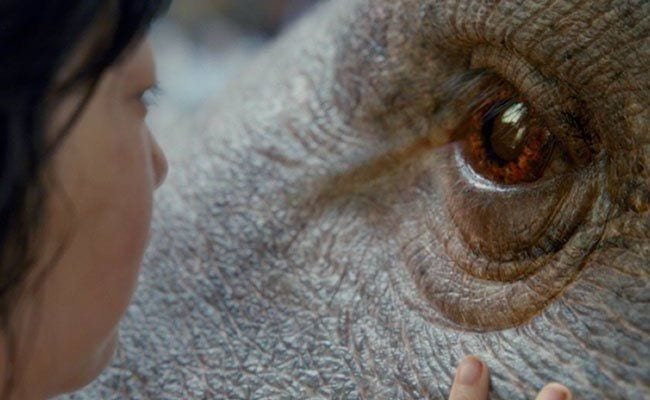 Brash and Playful ‘Okja’ Is the Summer’s Activist Epic