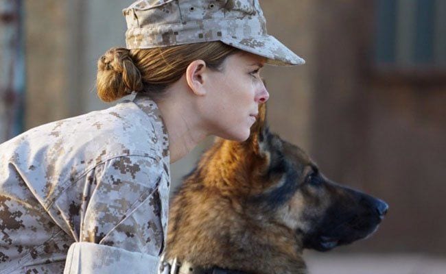 ‘Megan Leavey’: The Story of a Dog and His Girl