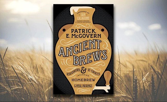 ancient-brews-by-patrick-e-mcgovern-sometimes-budweiser-better