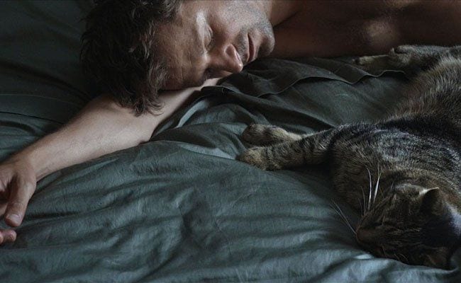 tomcat-kater-haendl-klaus-paints-intimate-portrait-emotions