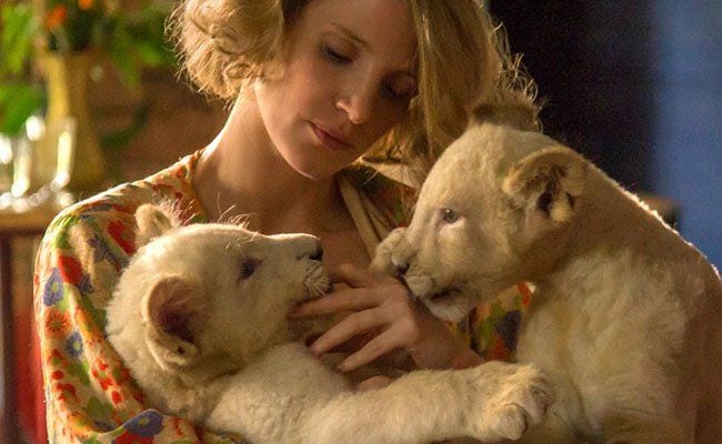the-zookeepers-wife-niki-caros-chastain-radiant-hit-and-miss-wwii-drama