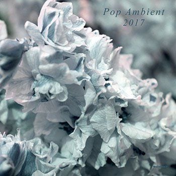 Various Artists: Pop Ambient 2017
