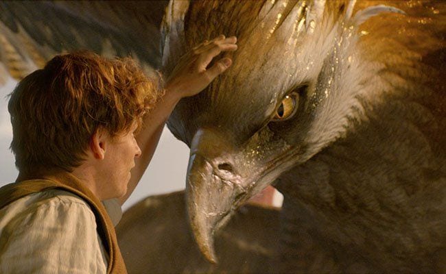 fantastic-beasts-and-where-to-find-them-entertains-and-frustrates-in-equal