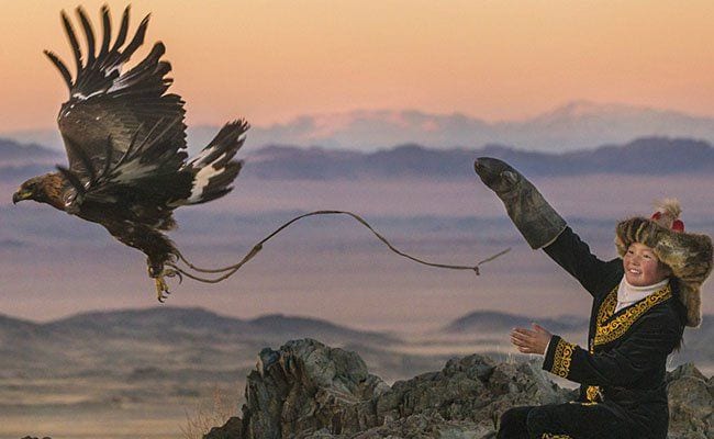 the-eagle-huntress-flies-in-the-face-of-adversity