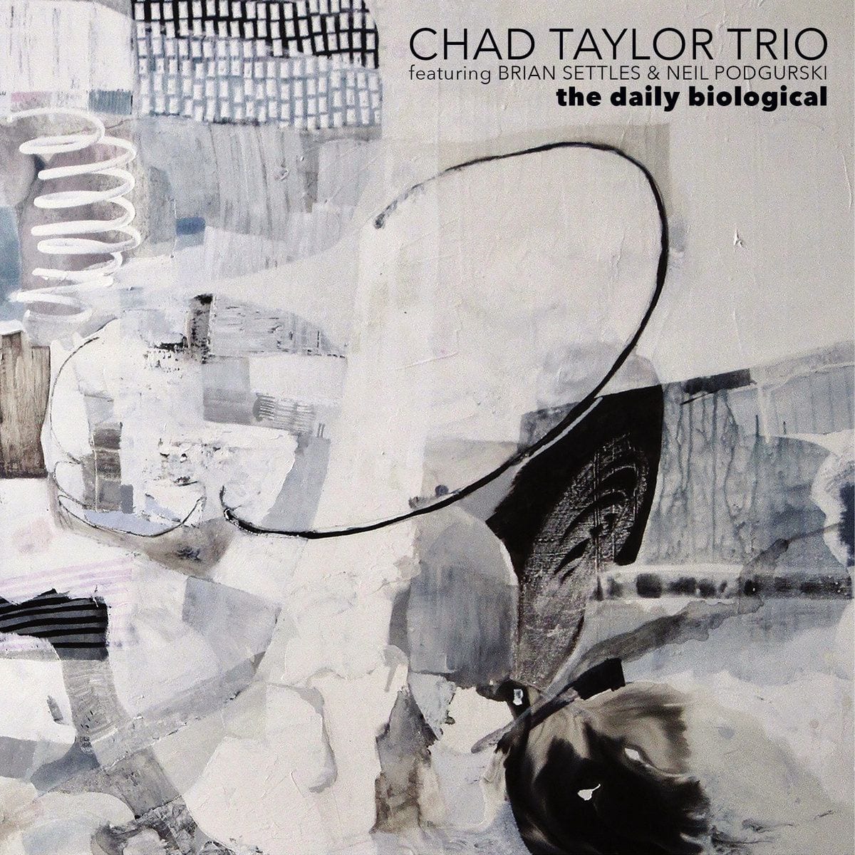 The Chad Taylor Trio Get Funky and Fiery on ‘The Daily Biological’