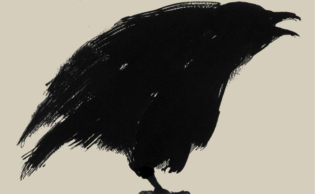 ‘Grief Is the Thing With Feathers’ Pokes Around in Poetry’s Carcass
