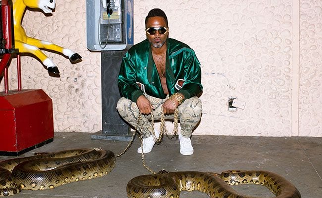 Shabazz Palaces Headlines the “Mountain Series” from Pickathon (video) (premiere)