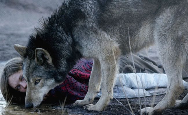 Sundance 2016: ‘Wild’ + ‘Author: The JT LeRoy Story’