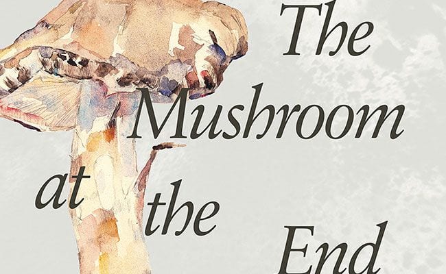 what-can-mushrooms-tell-us-about-the-end-of-capitalism