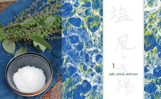 preserving-the-japanese-way-by-nancy-hachisu