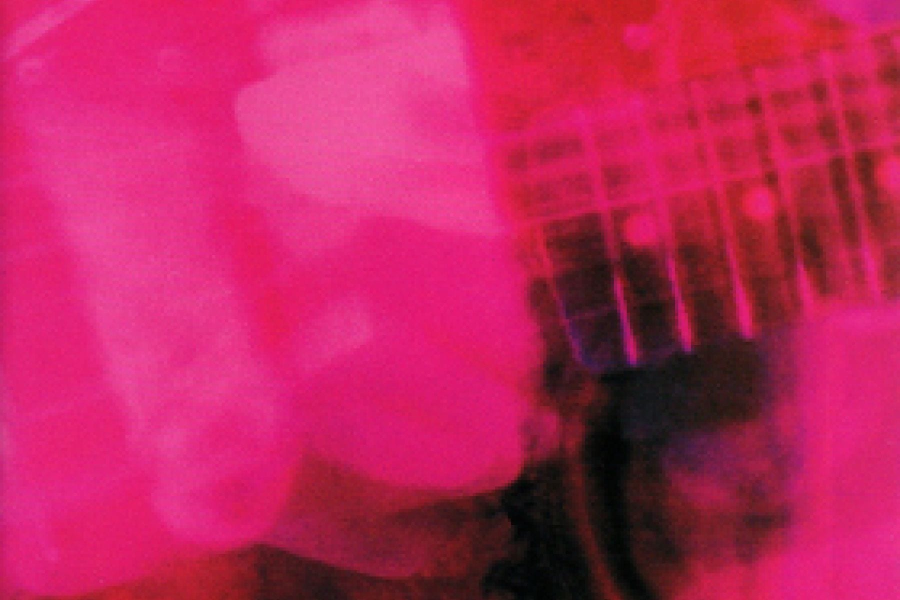 My Bloody Valentine’s ‘Loveless’ and the Un-Invention of Cock Rock