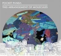 Pocket Panda: This Arrangement of Molecules