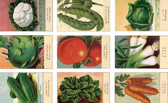 When the Past Sits at Your Dinner Table: ‘The Vilna Vegetarian Cookbook’