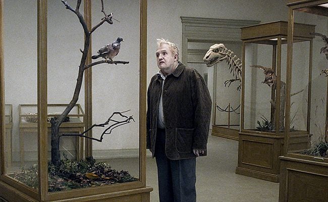 194972-a-pigeon-sat-on-a-branch-reflecting-on-existence