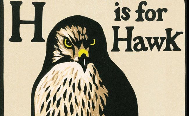 ‘H Is for Hawk’ and for Healing