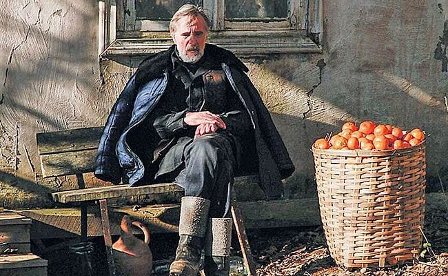 192437-tangerines-a-quiet-war-film