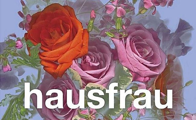 192083-hausfrau-by-jill-alexander-essbaum