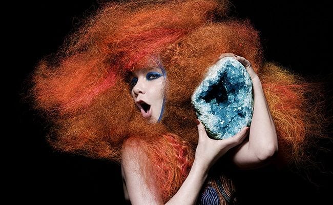 Björk: Vulnicura (Take 2)