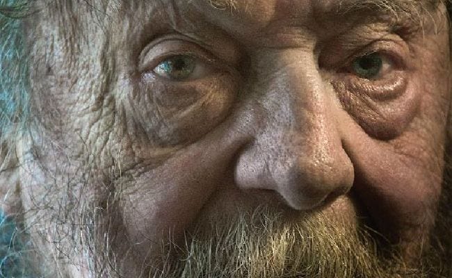 Donald Hall’s ‘Essays After Eighty’ Is an Unsparing Look at Extreme Old Age
