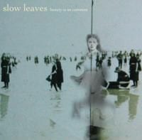 Slow Leaves: Beauty Is So Common