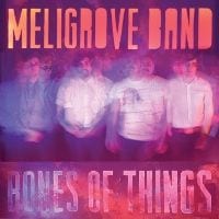 Meligrove Band: Bones of Things