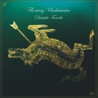 185599-daisuke-tanabe-floating-underwater
