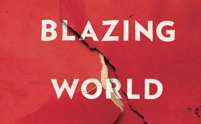 In ‘The Blazing World’, a Lifetime of Smothered Rage Blossoms into an Ingenious Plan