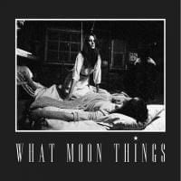 What Moon Things: What Moon Things