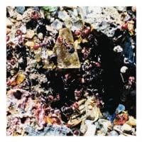 181103-mesa-ritual-mesa-ritual