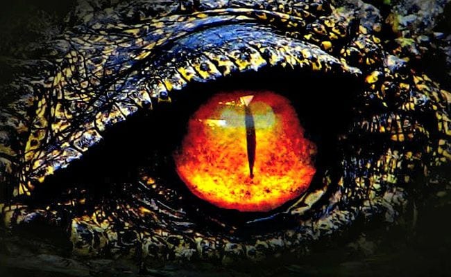 181844-godzilla-the-king-of-monsters-rebooted
