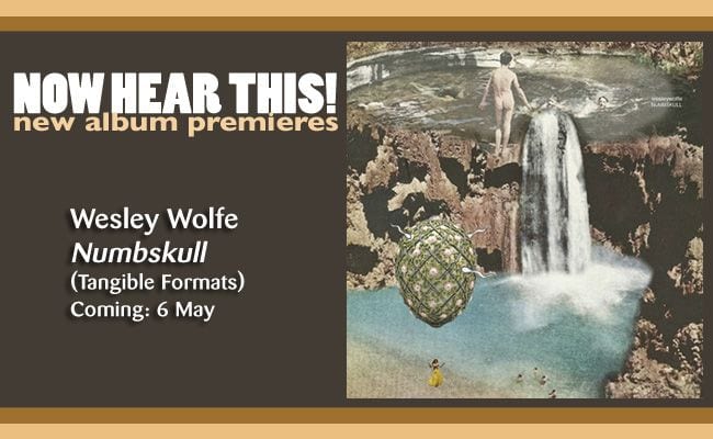 Wesley Wolfe – ‘Numbskull’ (album premiere)