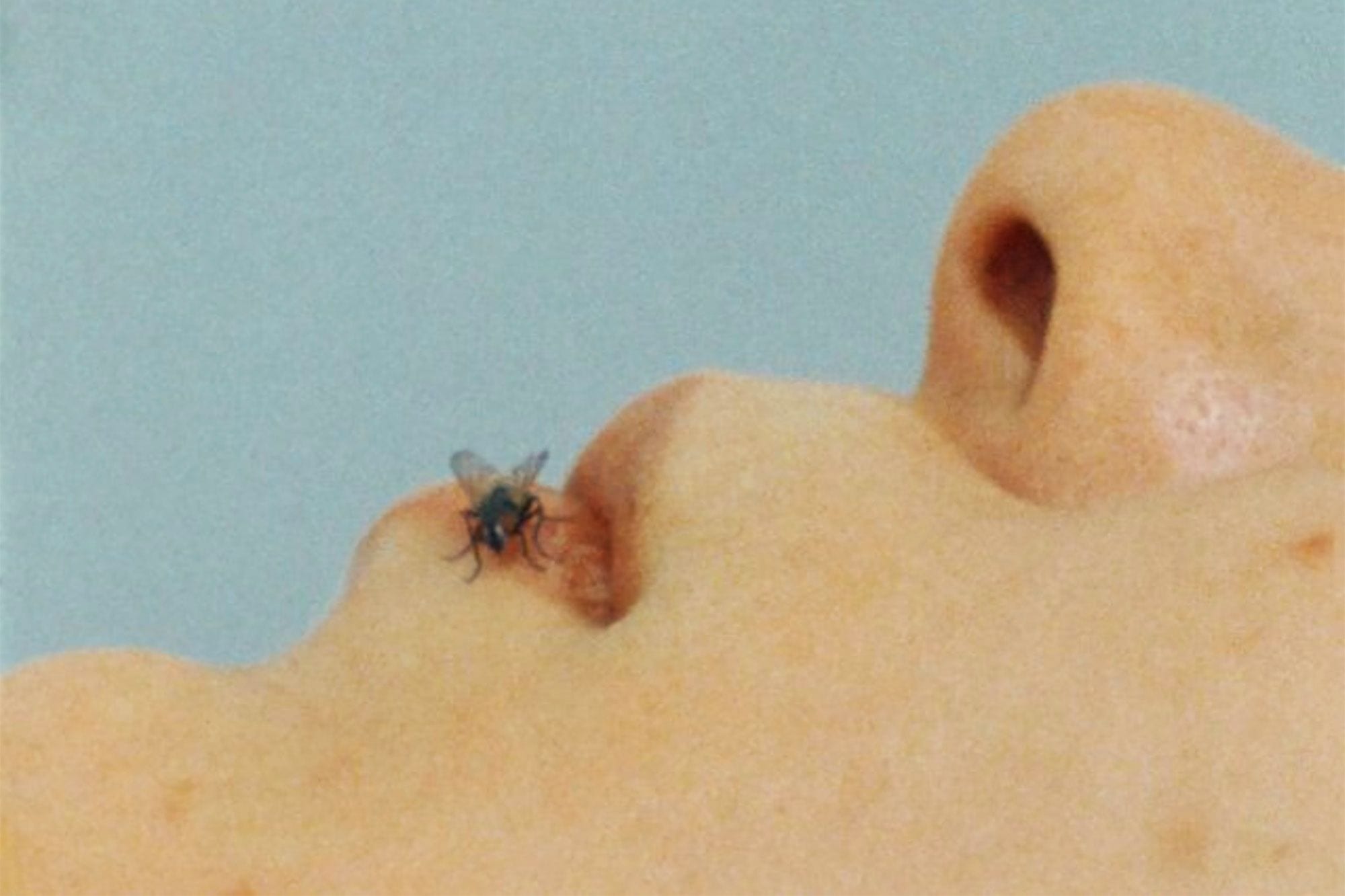 Defragmenting Bodies: Yoko Ono’s ‘Fly’ at 50