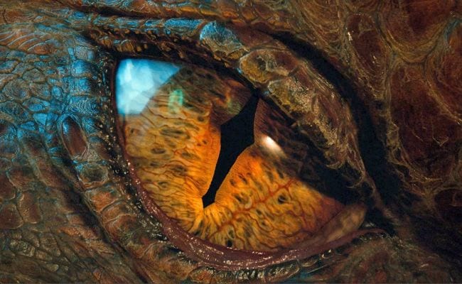 Smaug, the Dragon in the Hobbit